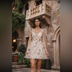 Farm Rio x Anthropologie Semi-Sheer Puff-Sleeve Dress size M.